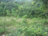 Chantilly Garden, Manchester, Jamaica - Residential lot for Sale
